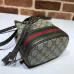 Gucci Bucket Tote and Shoulder Bag size:26×31×12cm #A53676