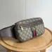 Stylish Gucci Waist Pack Featuring GG Logo #A45658