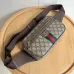 Stylish Gucci Waist Pack Featuring GG Logo #A45658