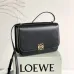 Loewe Goya Series Size:22.5×16.5×6.5cm #A48325