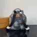 Louis Vuitton Backpack MONTSOURIS CARGO Damier Palm Trees ww size:34×40×17cm #A53369