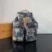 Louis Vuitton Backpack MONTSOURIS CARGO Damier Palm Trees ww size:34×40×17cm #A53369