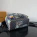 Louis Vuitton Backpack MONTSOURIS CARGO Damier Palm Trees ww size:34×40×17cm #A53369