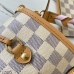 Brand L AAA Women's Handbags #999901081