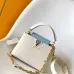 Louis Vuitton Handbags Capucines Taurillon #A51213