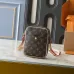 Louis Vuitton Luxury Monogram Crossbody Bags #A50540