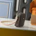 Louis Vuitton Luxury Monogram Crossbody Bags #A50540