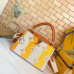Louis Vuittou AAA Women's Handbags #999919512