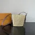 Louis Vuitton Shoulder Bags All In BB size:16×18×12cm #A53374