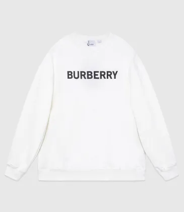 Burberry Hoodies high quality euro size #999926737