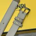 Fendi AAA+ Women's Belts Width:2.5cm #A48488