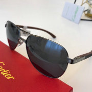 Cartier AAA+ Sunglasses #9875144