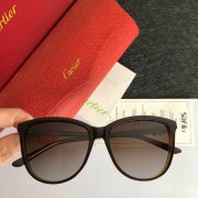 Cartier AAA+ Sunglasses #9875148