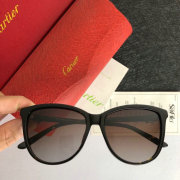 Cartier AAA+ Sunglasses #9875149
