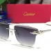 Cartier AAA+ Sunglasses #9875155