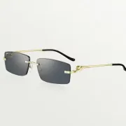 Cartier AAA+ Sunglasses #A31539