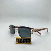 Cartier Sunglasses #999937388