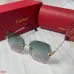 Cartier Sunglasses #A46496