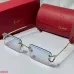 Cartier Sunglasses #A46496
