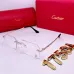 Cartier Sunglasses #A48675
