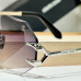 D&amp;G AAA Sunglasses #A35479