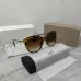 Dior Sunglasses #A43528