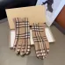 Burberry Glove #A42923