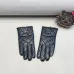 Louis Vuitton Glove #A42889