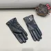 Louis Vuitton Glove #A42891