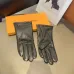 Louis Vuitton Glove #A42899