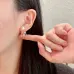 Dior Earrings #A52943