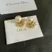 Dior Earrings #A52943