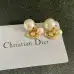 Dior Earrings #A52943