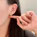 Dior Earrings #A52944