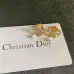 Dior Earrings #A52944