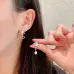 Dior Earrings #A52945