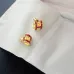 HERMES earrings #9127507