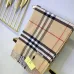 Burberry Scarfs #999902459