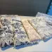 Dior AAA Scarf #A31255