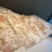 Dior AAA Scarf #A31256