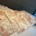 Dior Scarf #A42701