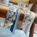 Dior Scarf Small scarf decorate the bag scarf strap #A48626
