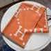 HERMES Scarf #999930119
