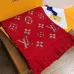Louis Vuitton Scarf #999902473