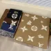 Louis Vuitton Scarf #A30628
