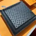 Louis Vuitton Scarf #A42794