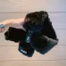 MIUMIU Scarf #999928940