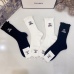 Chanel Socks #A23820