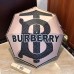 Burberry Umbrella #99903931