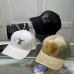 Louis Vuitton AAA+ hats &amp; caps #A28434